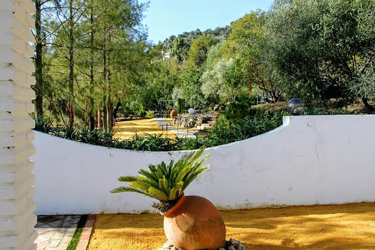 Casas Rurales Los Algarrobales El Gastor Bagian luar foto