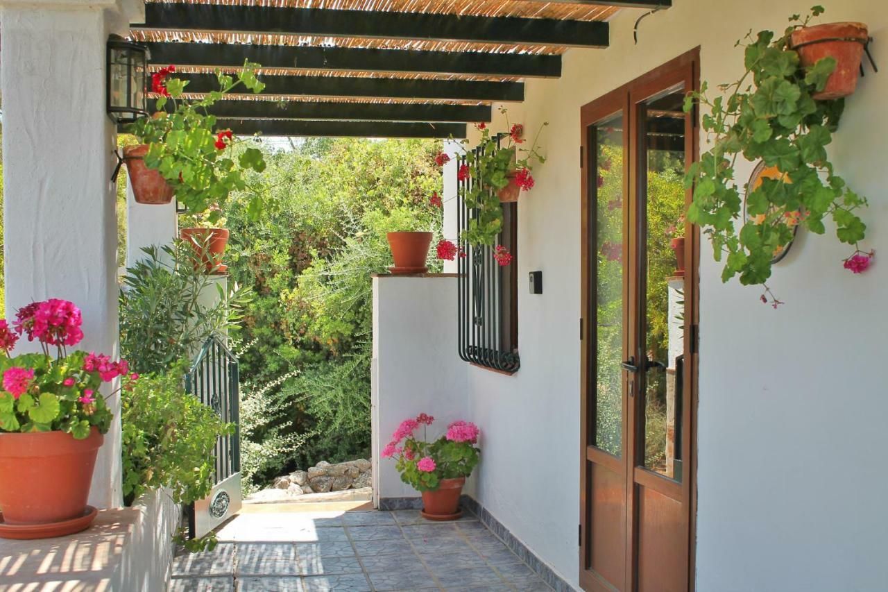 Casas Rurales Los Algarrobales El Gastor Bagian luar foto